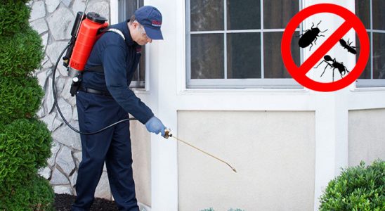 Emet Bit İlaçlama böcek ilaçlama ve haşere kontrolü — ilaclama-tr.com